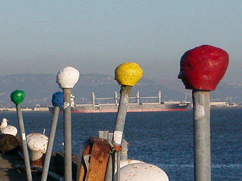 294877327_91a1895198_z