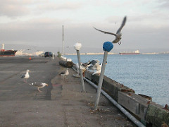 3286567942_be13b3646f_m